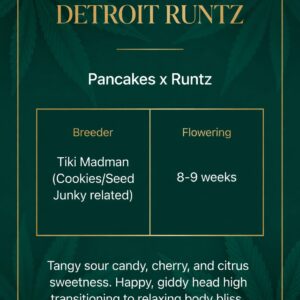 Detroit Runtz