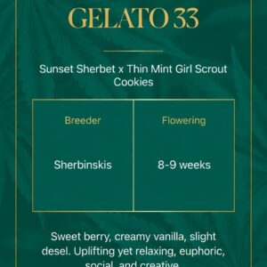 Gelato 33