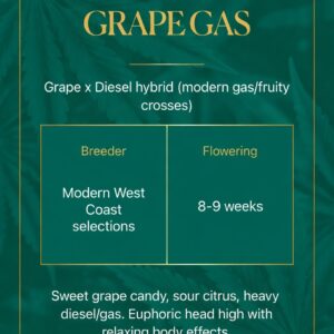 Grape Gas