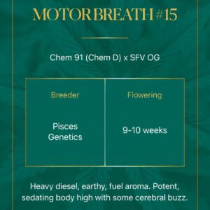 Motorbreath #15
