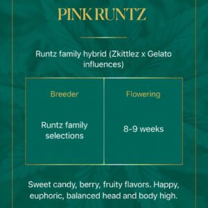 Pink Runtz