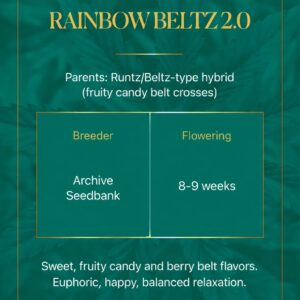 Rainbow Beltz 2.0