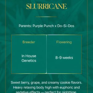 Slurricane