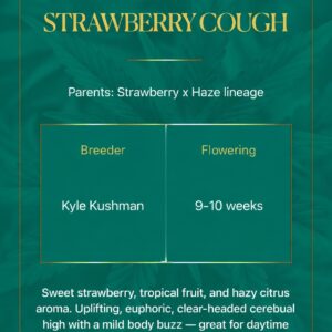 Strawberry Cough