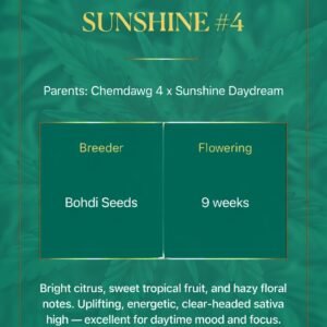 Sunshine #4